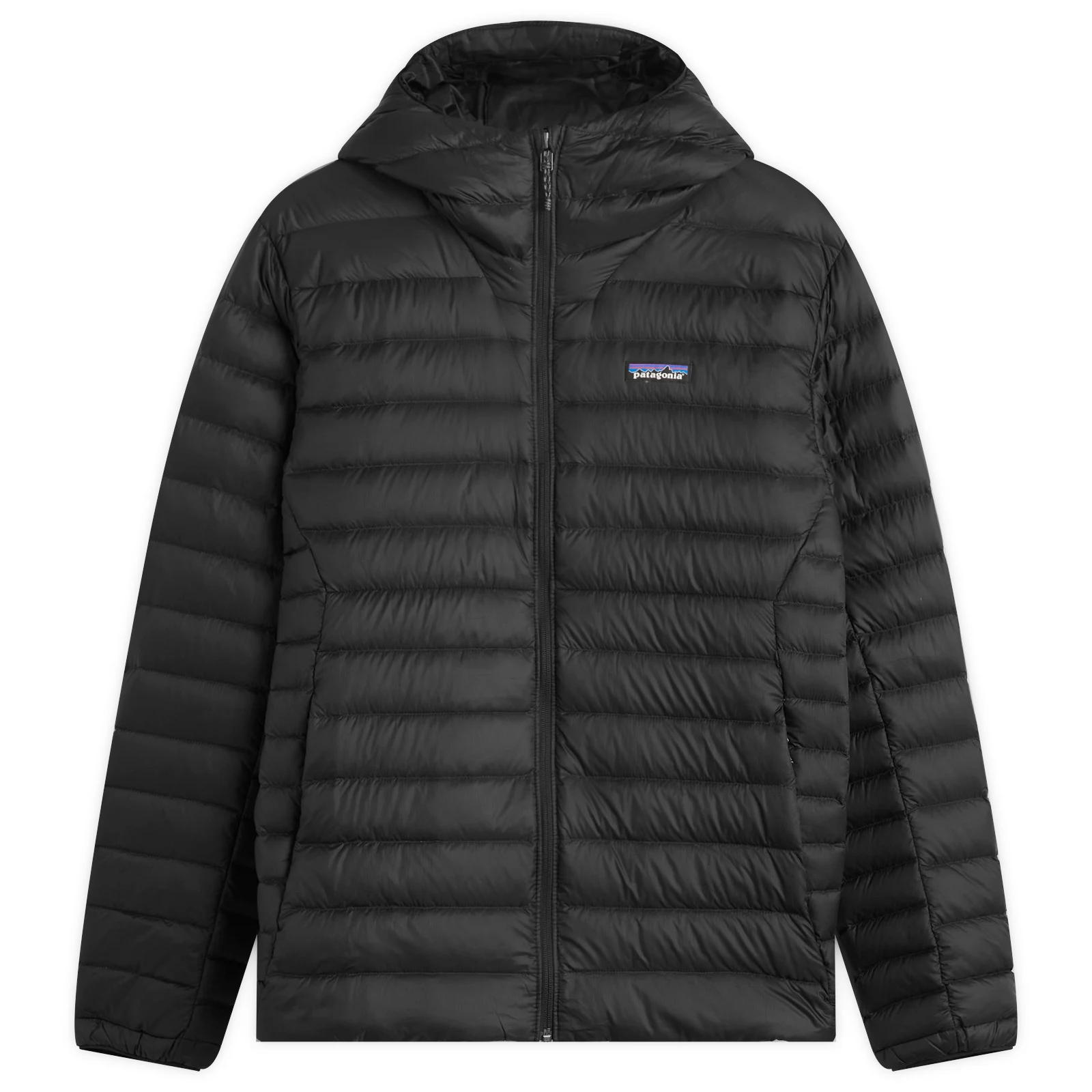 Patagonia Down Sweater Hoodie
