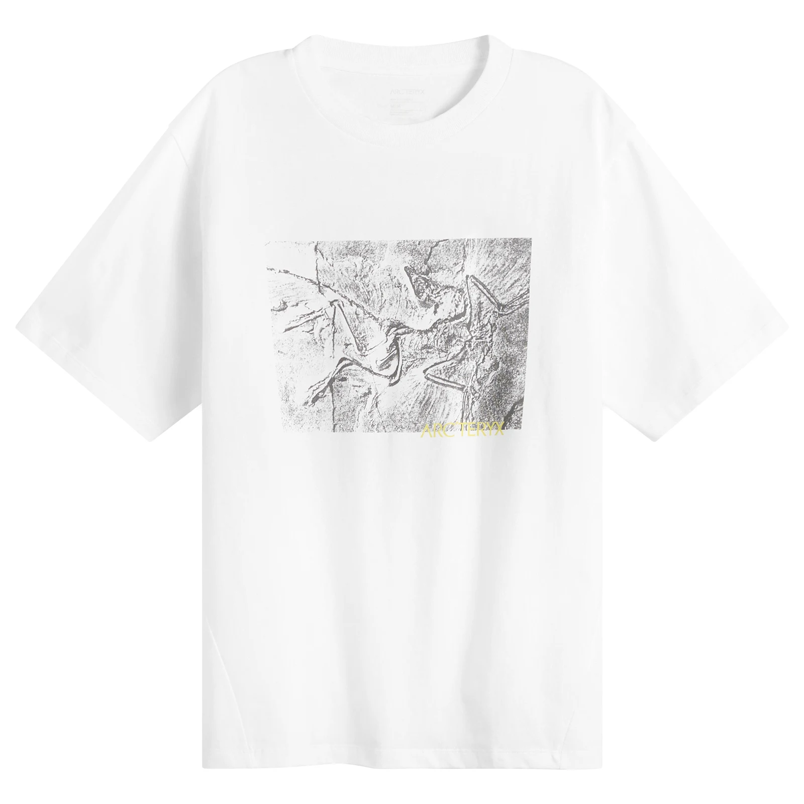 Arc'teryx Kragg Cotton Lithographica T-Shirt