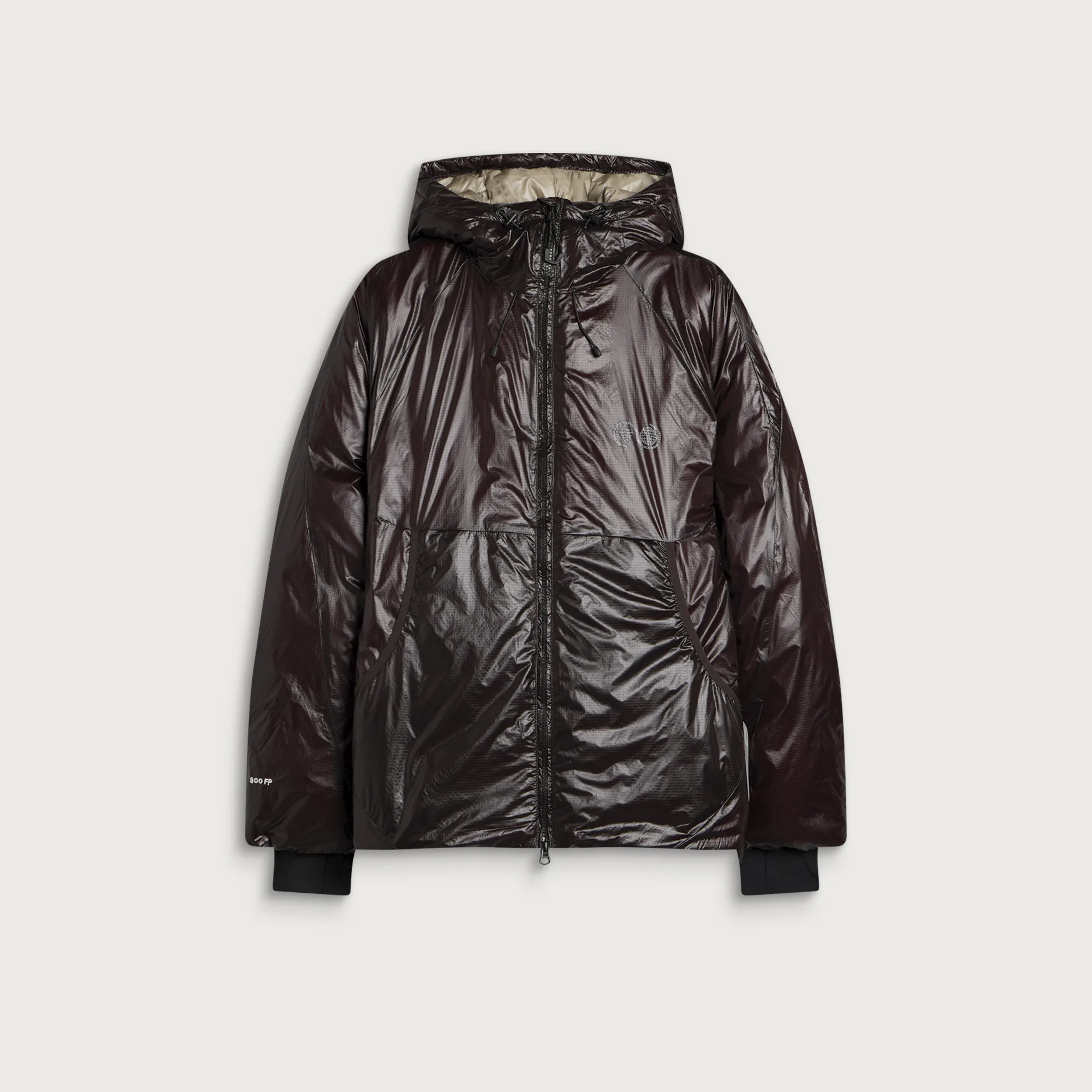 Purple Mountain Observatory Shield Translucent Down Jacket