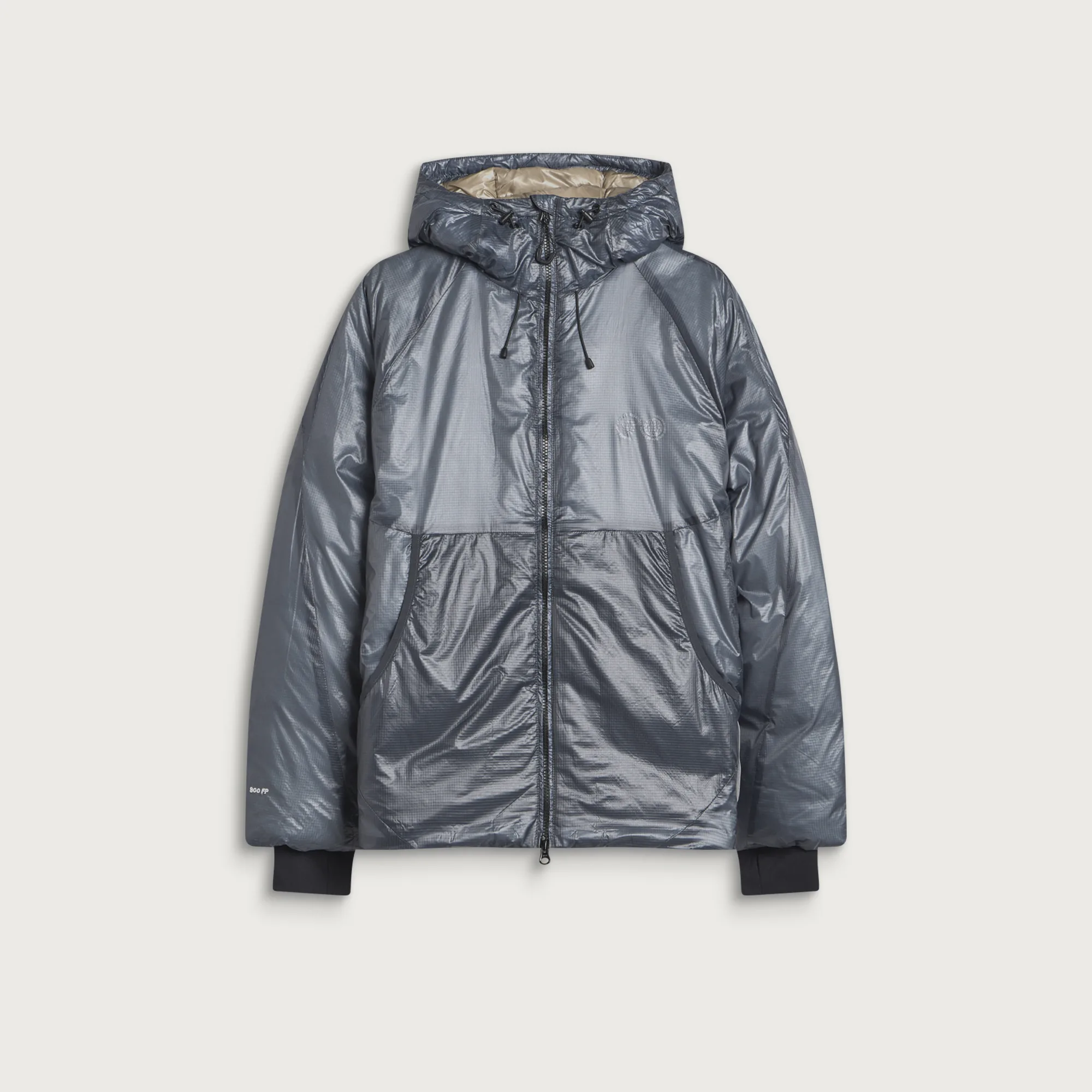 Purple Mountain Observatory Shield Translucent Down Jacket