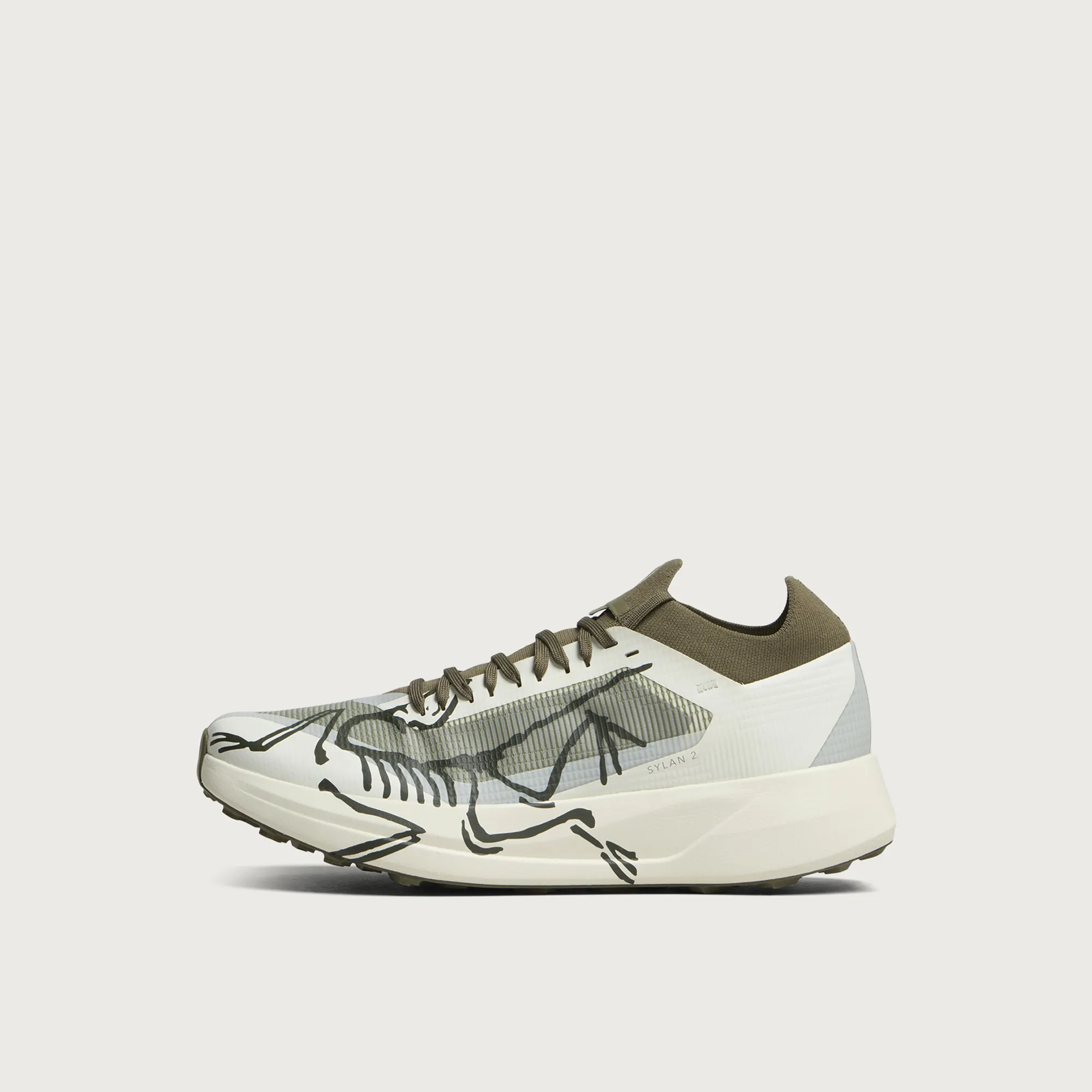 Arcteryx Sylan 2