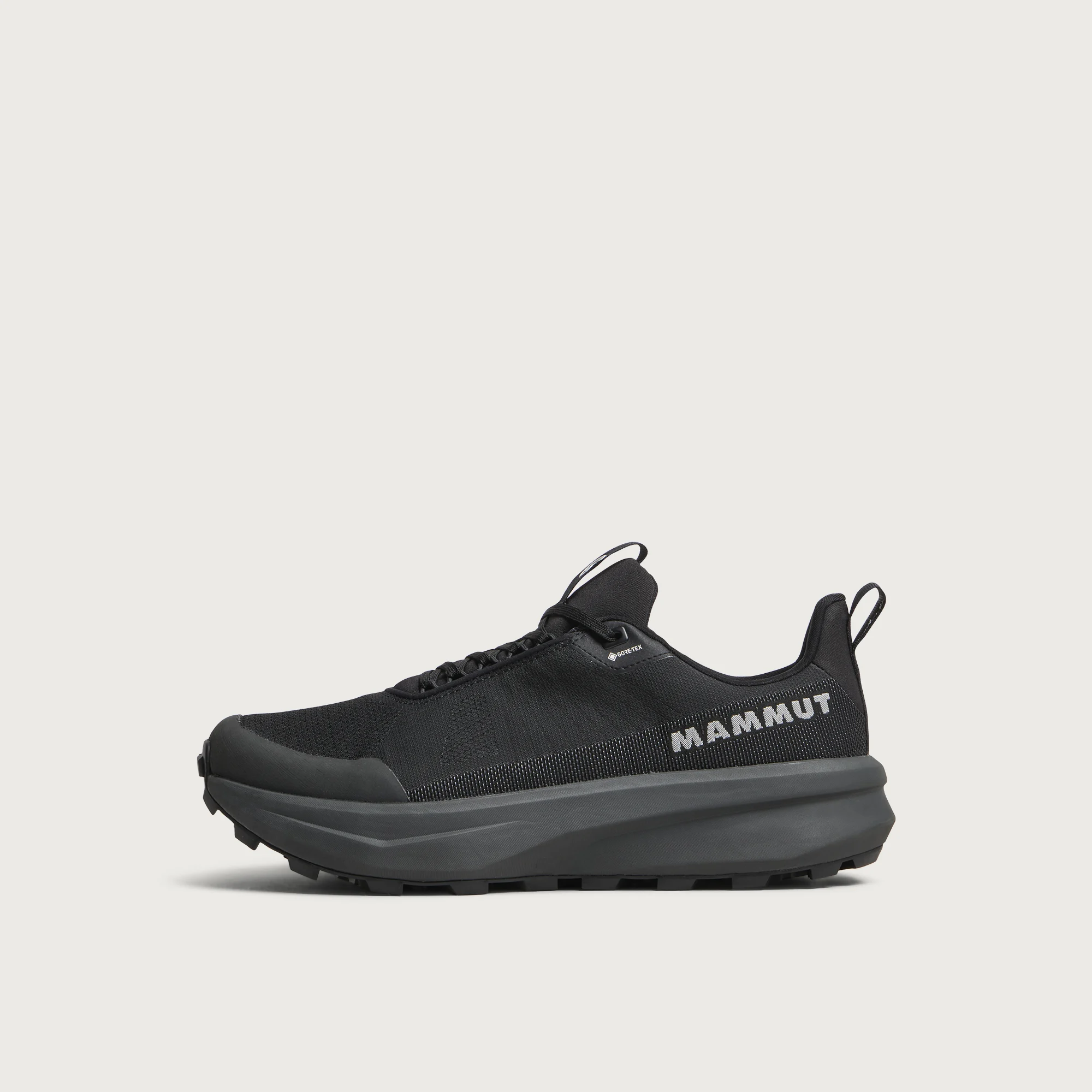 Mammut Aenergy MTN Gore-Tex Low